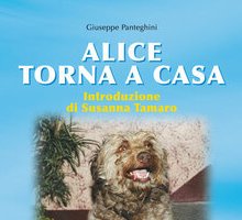 Alice torna a casa