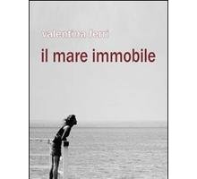 Il mare immobile