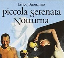 Piccola serenata notturna