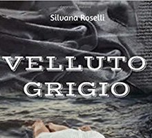 Velluto grigio