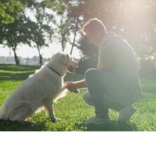 “Un cane è morto”: la poesia di Pablo Neruda per l'amico a quattro zampe che non c'è più