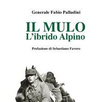 Il mulo. L'ibrido Alpino