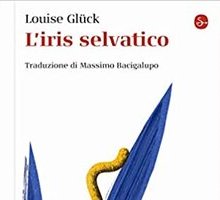 L'iris selvatico