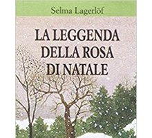 La leggenda della rosa di Natale