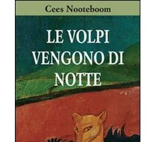 Le volpi vengono di notte