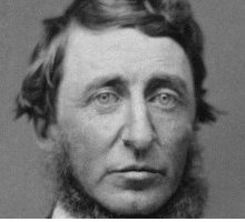 Chi era Henry David Thoreau, il primo scrittore ecologista