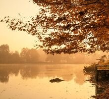 “Sera d'ottobre”: la poesia d'autunno di Giovanni Pascoli