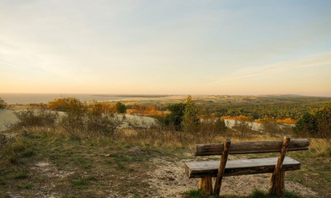 “Ricordo di settembre”: la poesia nera di Wislawa Szymborska