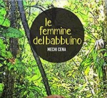 Le femmine del babbuino 