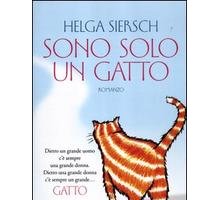 Sono solo un gatto