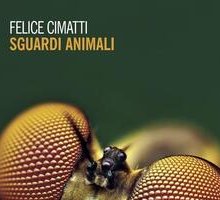 Sguardi animali