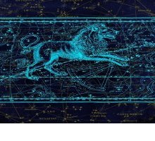 Libri e segni zodiacali. Ecco cosa leggere se sei del Leone