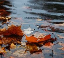 La pioggia d'autunno in poesia: da D'Annunzio a Montale