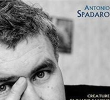 Creature di caldo sangue e nervi. La scrittura di Raymond Carver