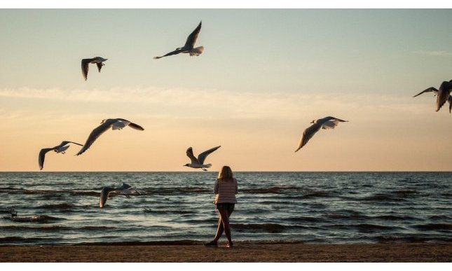 “Cercami”: testo e analisi della poesia di Mila Kačič sull'amore perduto