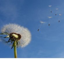 “You, wind of March” di Cesare Pavese: testo e analisi della poesia