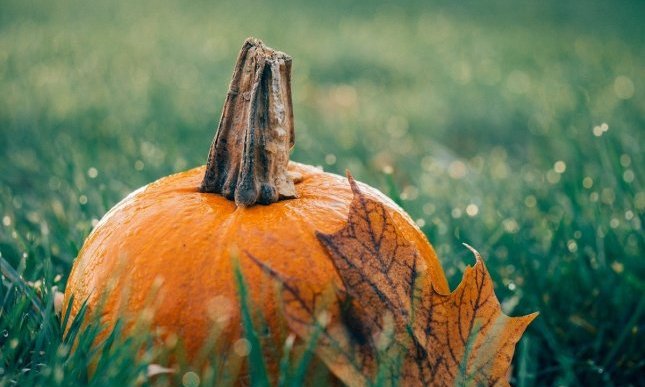 5 libri con "ottobre" nel titolo