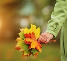 “Se tu venissi in autunno” di Emily Dickinson: la poesia dell'attesa