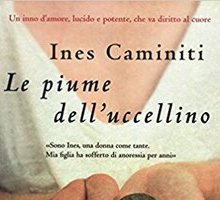 Le piume dell'uccellino