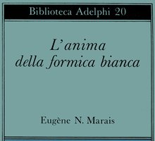 L'anima della formica bianca