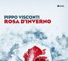 Rosa d'inverno