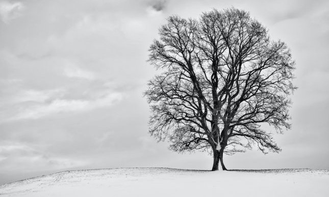 “Il primo gennaio” di Eugenio Montale: una poesia per Capodanno