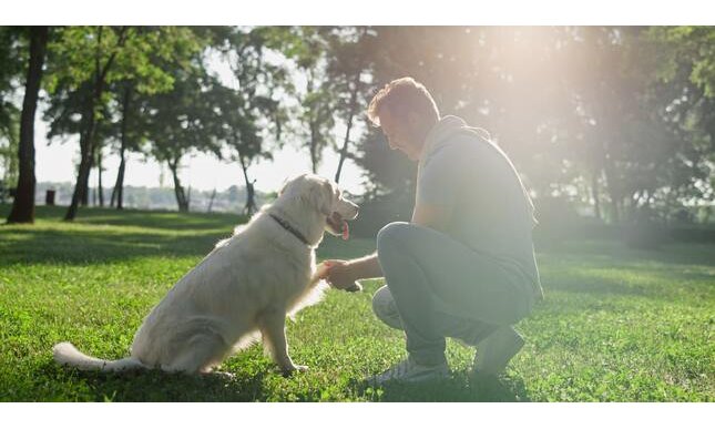 “Un cane è morto”: la poesia di Pablo Neruda per l'amico a quattro zampe che non c'è più