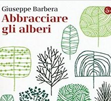 Abbracciare gli alberi