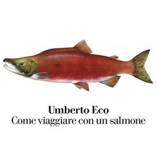 Come viaggiare con un salmone