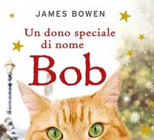 Un dono speciale di nome Bob