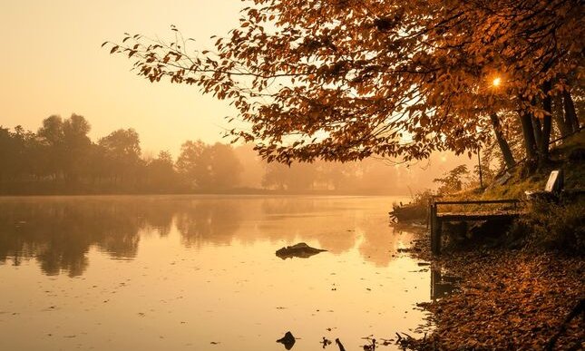 “Sera d'ottobre”: la poesia d'autunno di Giovanni Pascoli