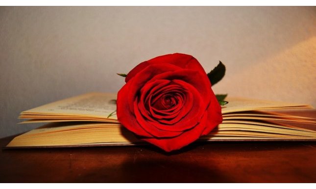 Festa di San Jordi: cos'è e perché si regalano rose e libri