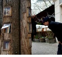 Biblioteca costruita nei tronchi d'albero a Berlino: ecco dove si trova