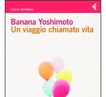 Un viaggio chiamato vita