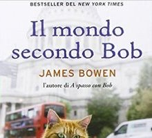 Il mondo secondo Bob