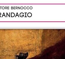 Il randagio