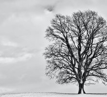 “Il primo gennaio” di Eugenio Montale: una poesia per Capodanno