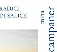 Radici di salice