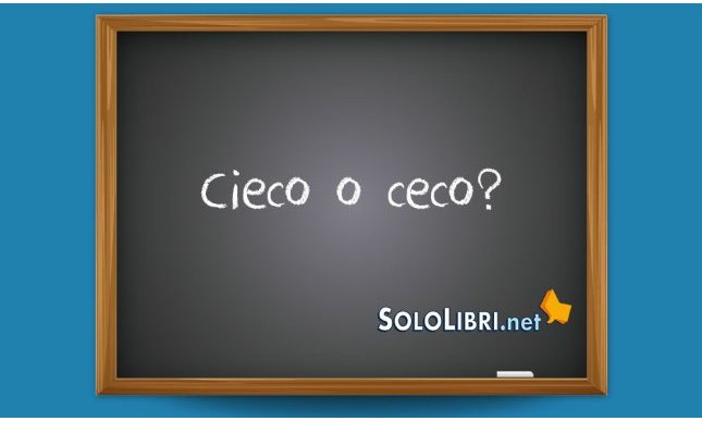 Cieco o ceco: come si scrive?