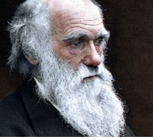 Charles Darwin: vita, viaggi e teoria dell'evoluzione