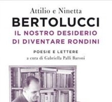 Il nostro desiderio di diventare rondini