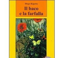 Il baco e la farfalla