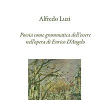 Poesia come grammatica dell'essere nell'opera di Enrico D'Angelo