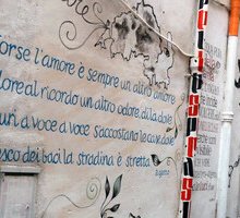 Muri di Versi a Bologna, il festival della socialità poetica scende nelle strade