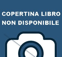 Dentro la parola. Didattica dell'enigmistica e della linguistica