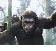 Apes Revolution- Il pianeta delle scimmie: trama e trailer del film stasera in tv