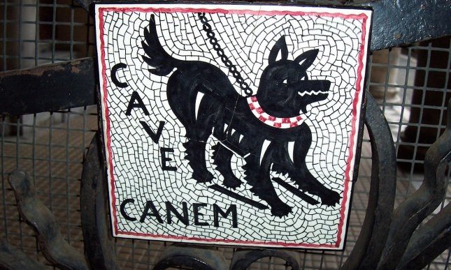 Cave canem: che significa e dove lo abbiamo sentito