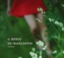 Il bosco dei biancospini