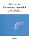 Dove osano le rondini