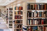 Bibliotecari in erba: percorso e consigli per lavorare in biblioteca